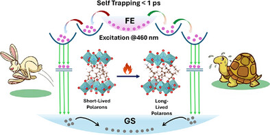 Perovskites Paper
