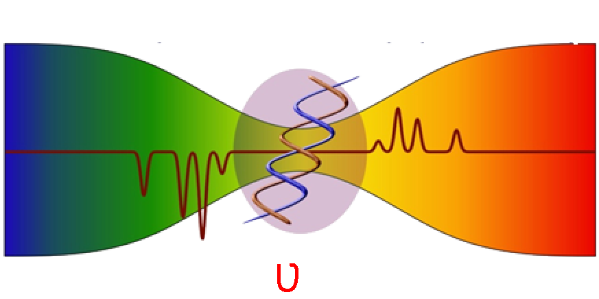 laser Spectroscopy group